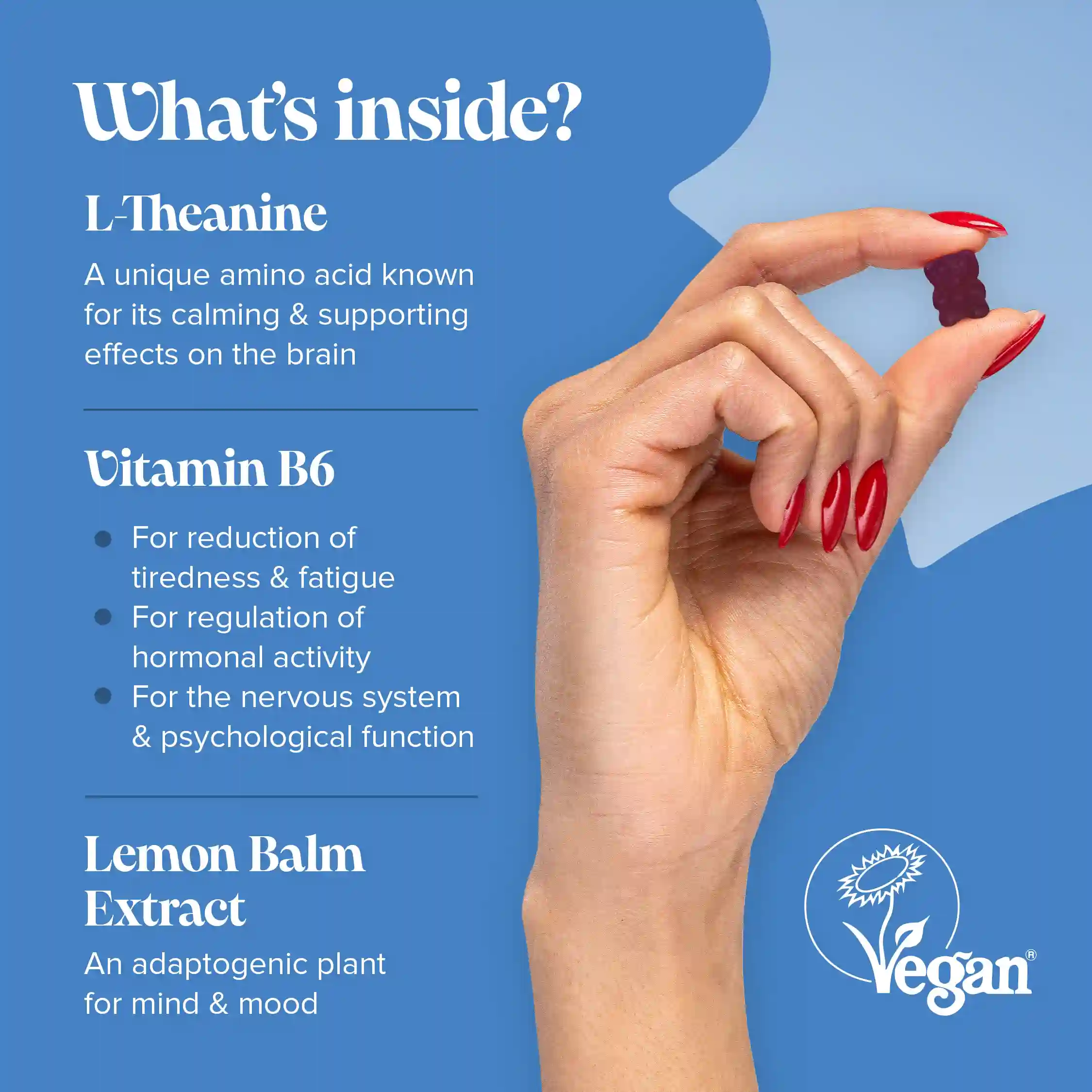 Kids L-Theanine Gummies - Image 3