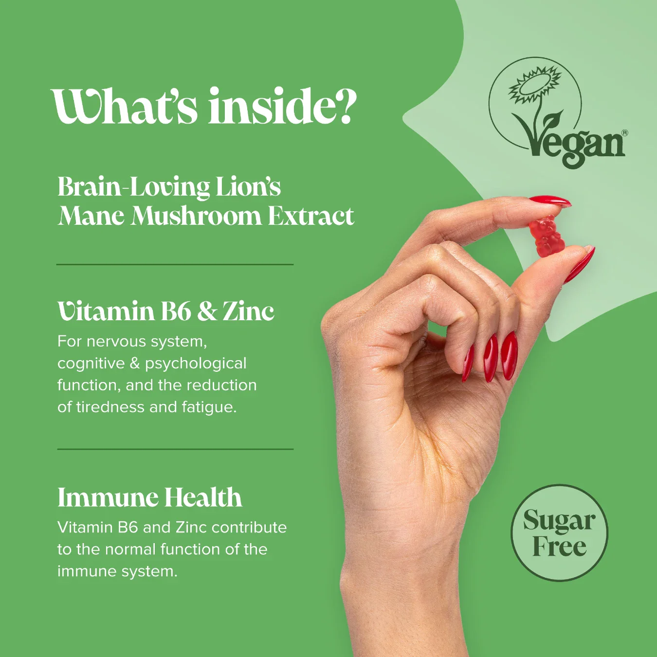 Kids Lion's Mane Gummies - Image 3