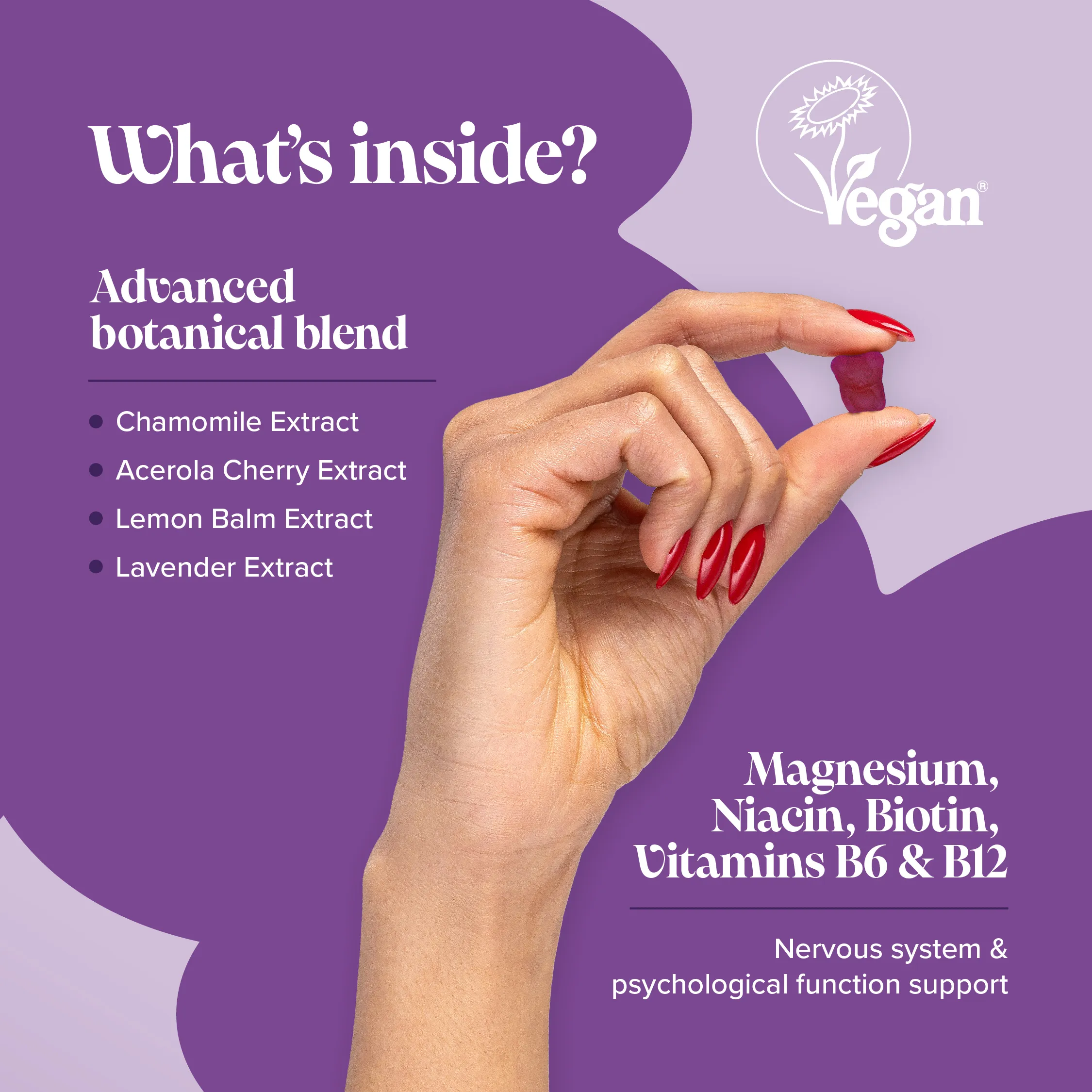 Kids Night-Time Gummies - Image 3