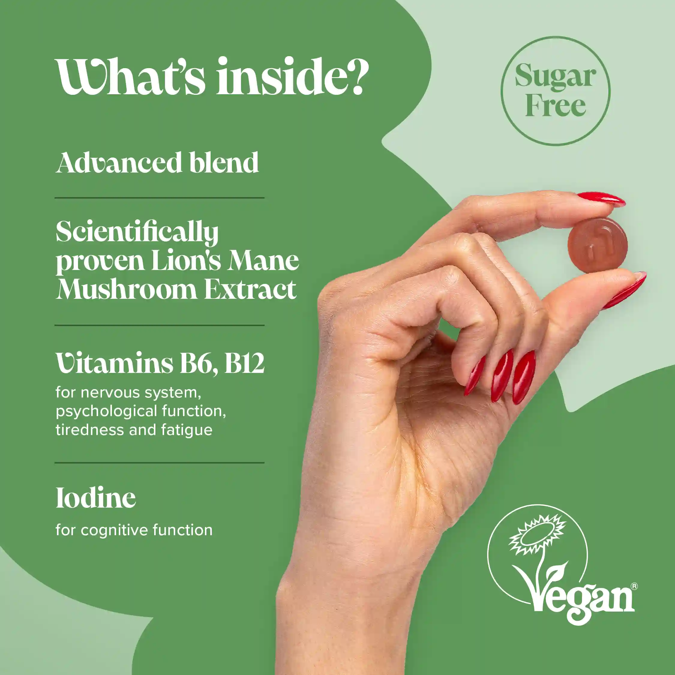 Mushroom Gummies 2500mg - Image 3