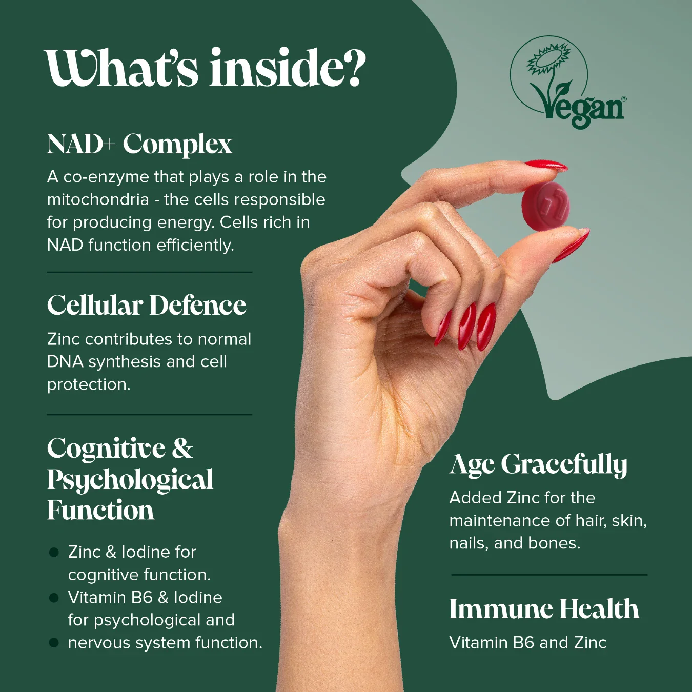 NAD+ Gummies - Image 3