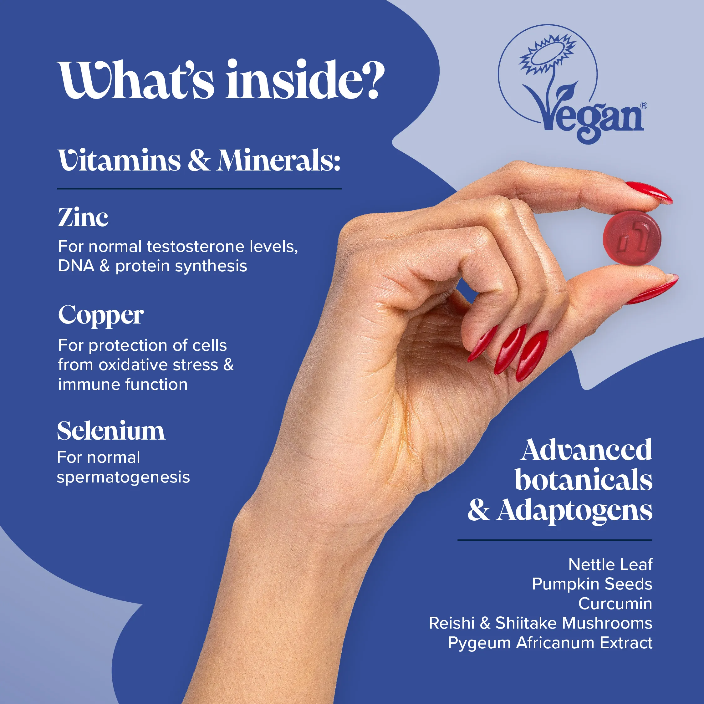 Prostafit Gummies - Image 3