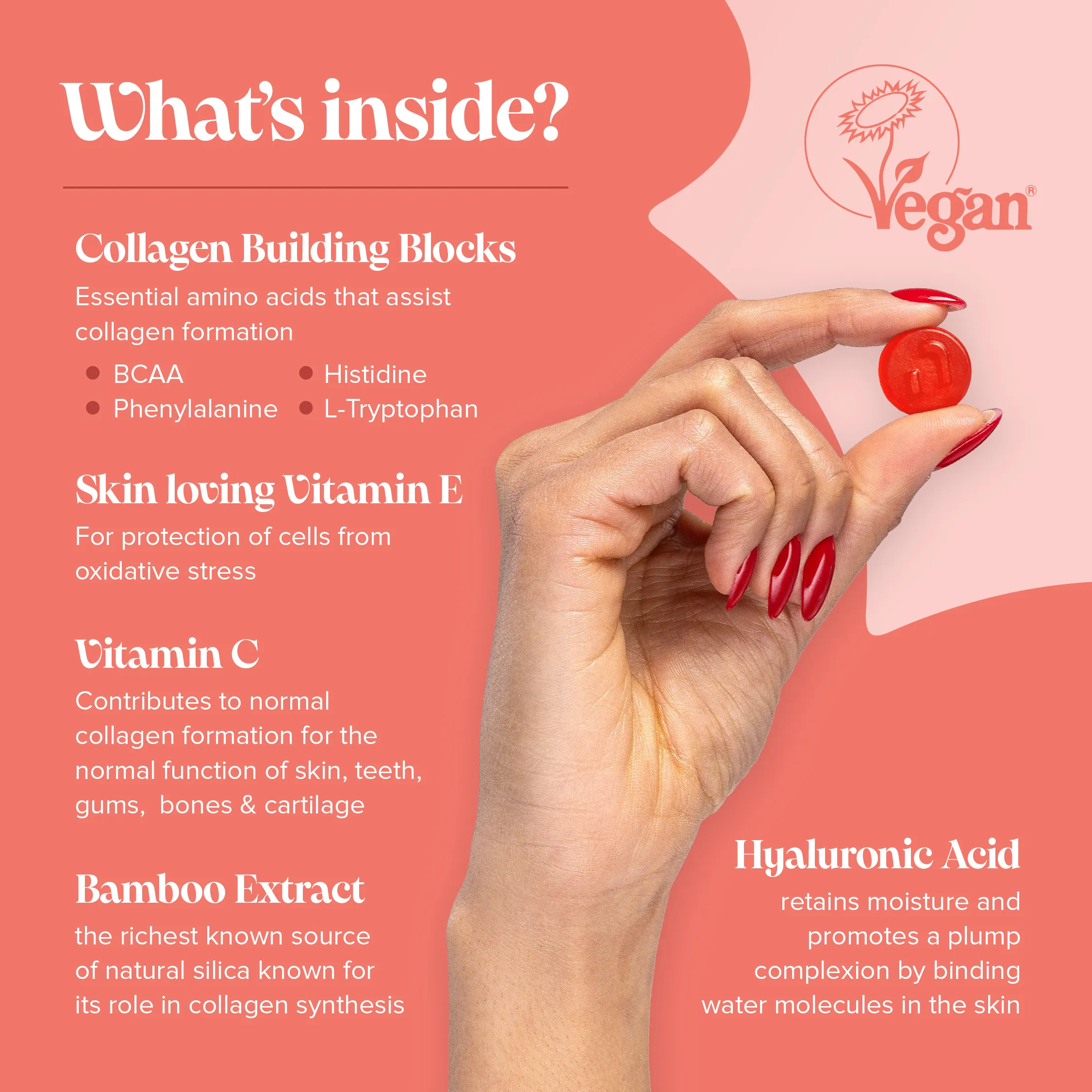 Vegan Collagen Gummies - Image 5