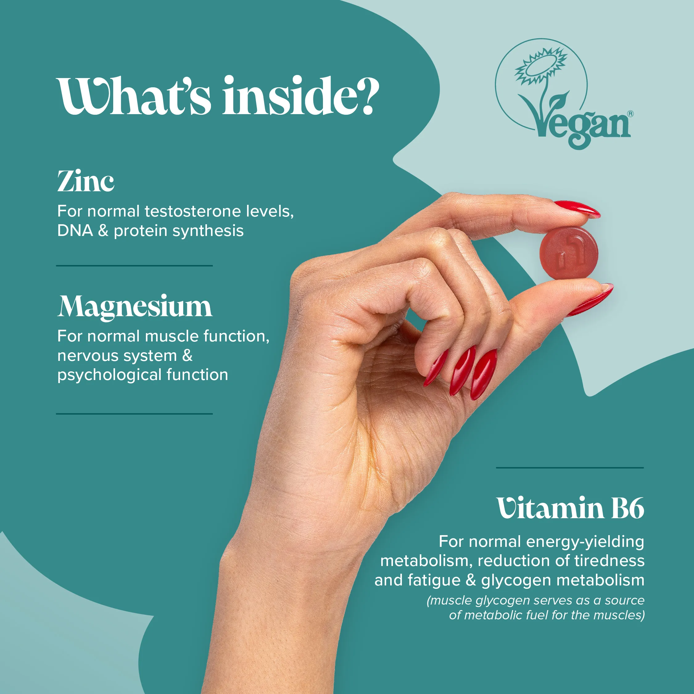Zinc, Magnesium & B6 - Image 3